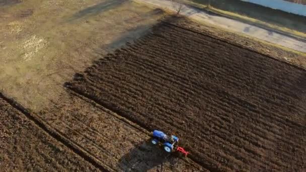 Man Tractor Digging Ground Tractor Driver Plowing Field Worker Blue — Video Stock