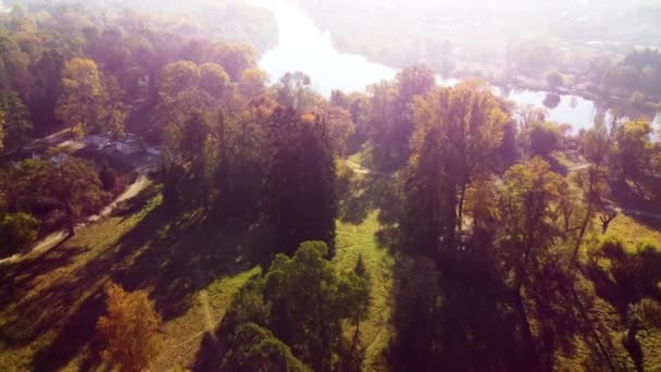 Lot Nad Drzewami Polana Rzeka Parku Słoneczny Jesienny Dzień Widok — Wideo stockowe