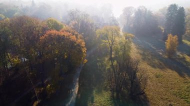 Sonbahar ağaçlarının üzerinde uçmak, çayır, sis, sis, güneşli bir günde parkta yol. Üst Manzara. Hava aracı görüntüsü. Parlak güneş ışığı, ışıldayan güneş ışınları ve güneşe aşırı maruz kalma. Güzel doğal arkaplan