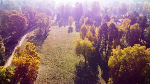 Voo Sobre Árvores Clareira Rio Parque Dia Ensolarado Outono Vista — Vídeo de Stock