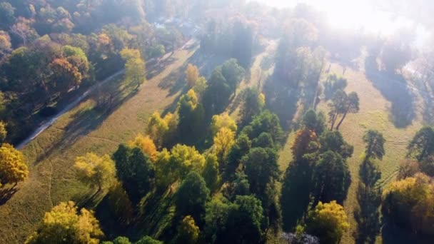 Terbang Atas Pohon Pohon Musim Gugur Padang Rumput Danau Taman — Stok Video