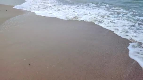 Морские Волны Белой Пеной Катятся Песчаному Пляжу Морского Побережья Крупным — стоковое видео