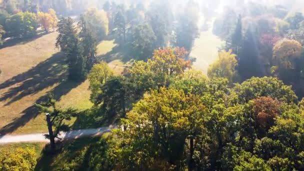 秋天阳光灿烂的日子 在公园的草地上飞越秋天的树木 顶部视图 空中无人驾驶飞机视图 耀眼的阳光和过度的阳光照射 美丽的自然背景 — 图库视频影像