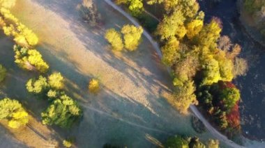 Aerial flying over trees with yellow leaves, meadow, dirt road with morning mist an autumn sunny morning in park. Bright sunlight, shining sunbeams rays. Top view. Beautiful natural background