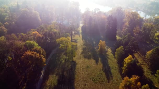 Güneşli Bir Günde Parktaki Çayırlarda Sonbahar Ağaçlarının Üzerinde Uçmak Üst — Stok video
