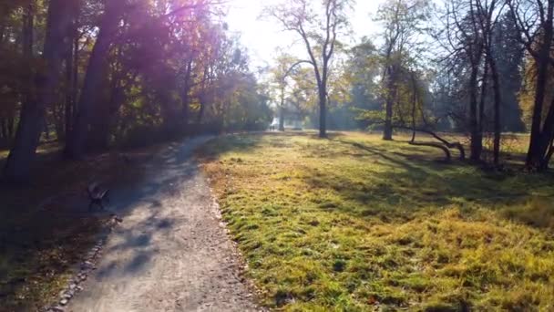 가을에 공원을 걷습니다 사람들은 가을에는 나뭇잎 노랗게 나무들 가까이에 의자들이 — 비디오
