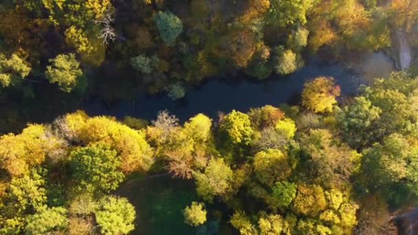 Vzdušné Létání Nad Stromy Žlutými Listy Jezery Loukou Prašnou Cestou — Stock video
