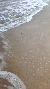 Deniz kıyısının kumlu sahilinde köpüklü deniz dalgaları yuvarlanıyor. Kum, tropikal ve egzotik sahil şeridi. Deniz dalgaları. Deniz kıyısında. Doğal arka plan. Yaz arkaplanı. Dikey video