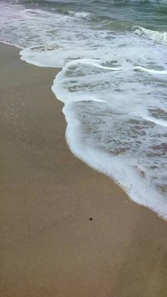 Olas Marinas Con Rollo Espuma Blanca Playa Arena Cerca Orilla — Vídeos de Stock