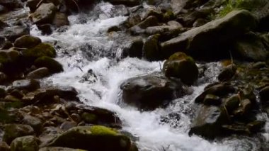 Dağ deresi, büyük siyah taşlarla. Islak ve karanlık kayalıklarda su birikintisi var. Doğal arka plan sesi, döngü, meditasyon. Ukrayna, Karpatlar 'da bir ormanda gölet.