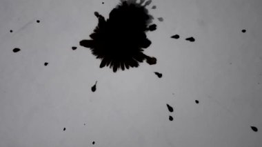 Soyut izole edilmiş siyah mürekkep damlaları beyaz kağıt yüzeyine damlayan damlalar yakın çekim organik akış makrosu. Beyaz arka planda siyah mürekkep damlaları. Özümseme lekesi