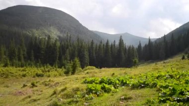 Karpat Dağları, Ukrayna 'nın hızlı videosu, bulutlu bir günde zaman dilimi dağ manzarası