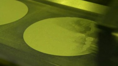 Metal için lazer sinterlama makinesi. Metal lazer etkisi altında çalışma odasında istenen şekle dönüşür. Metal baskı yapan 3D yazıcı. Modern katkı teknolojileri 4.0 endüstriyel devrim