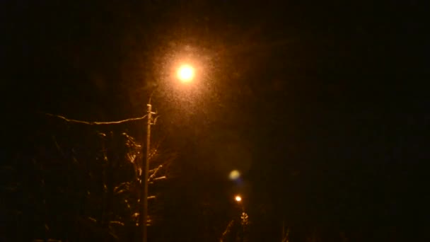 Många Små Snöflingor Faller Mot Ljuset Gatlykta Utomhusbelysning Natten Vinter — Stockvideo