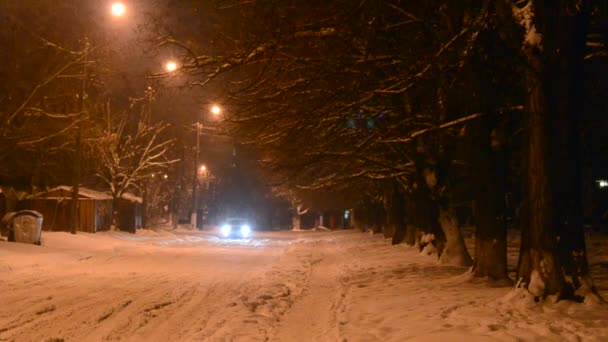 Veel Kleine Sneeuwvlokjes Vallen Tegen Het Licht Van Een Straatlamp — Stockvideo