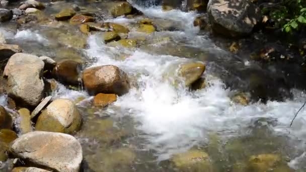 Kleiner Gebirgsfluss Mit Großen Steinen Mit Transparentem Wasser Nahaufnahme Mit — Stockvideo