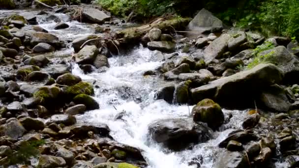 有巨大的黑石 水在黑暗潮湿的大石头堆中打滚 放松自然的背景音乐 乌克兰喀尔巴阡山脉森林中的池塘 — 图库视频影像