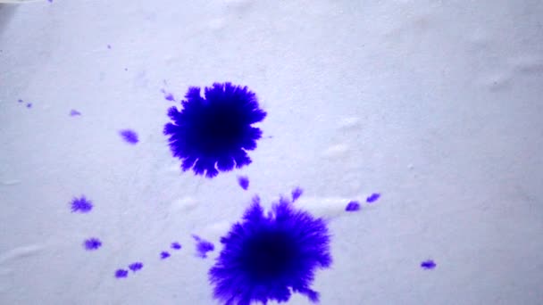 白色湿滑表面上分散的美丽的紫色水滴 以花卉 抽象特写镜头的形式投出的照片 — 图库视频影像