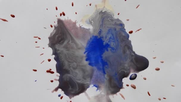 液体漆白色 蓝色混合在一张白纸上的颜色 表面张力 实验创意 艺术特写宏观 — 图库视频影像
