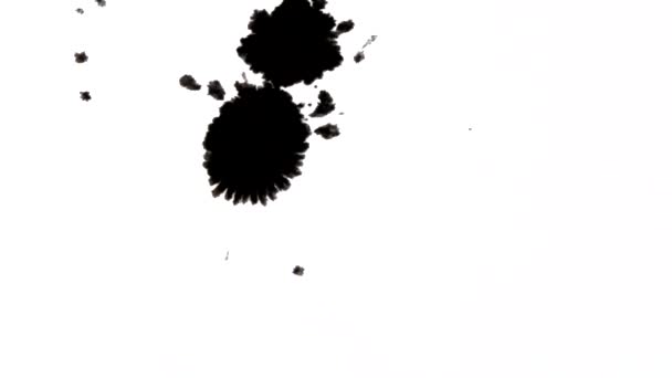 Abstrakcyjne Izolowane Krople Czarnych Farb Atramentowych Rozpryskami Kapią Białą Powierzchnię — Wideo stockowe