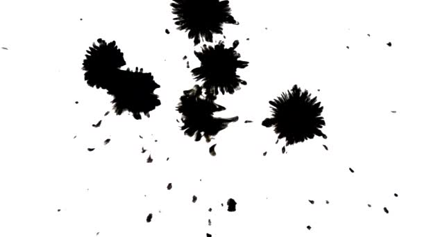 Σταγόνα Απλώνει Μαύρο Μελάνι Σταγόνες Πιτσιλίσματος Λευκό Φόντο Close 1080 — Αρχείο Βίντεο