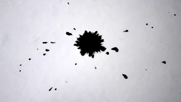 Druppelen Verspreidt Zwarte Inkt Met Spetterende Druppels Witte Achtergrond Close — Stockvideo