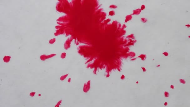 Tinta Roja Rosa Clarete Gotitas Pintura Extiende Flujo Orgánico Blanco — Vídeo de stock