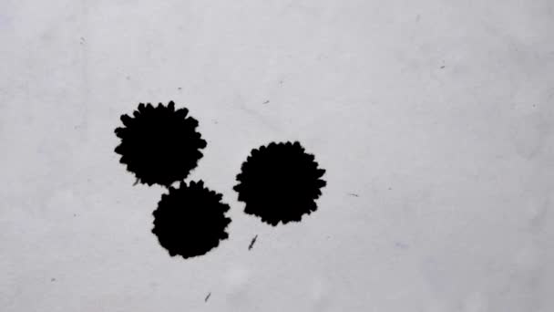 Gotas Tinta Preta Isoladas Com Respingos Gotejando Superfície Orgânica Branca — Vídeo de Stock