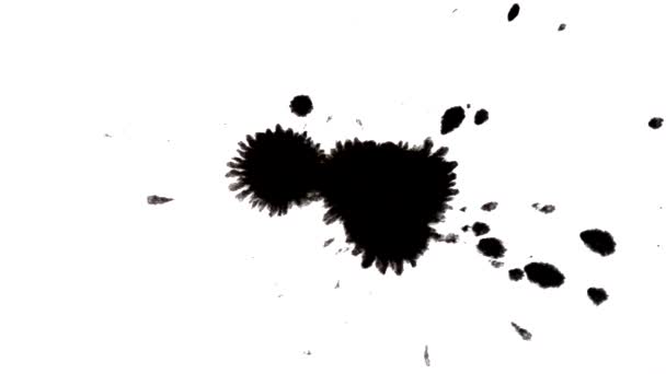1080 Zwarte Druppels Zwarte Inkt Vallen Wit Vlak Geïsoleerde Zwarte — Stockvideo