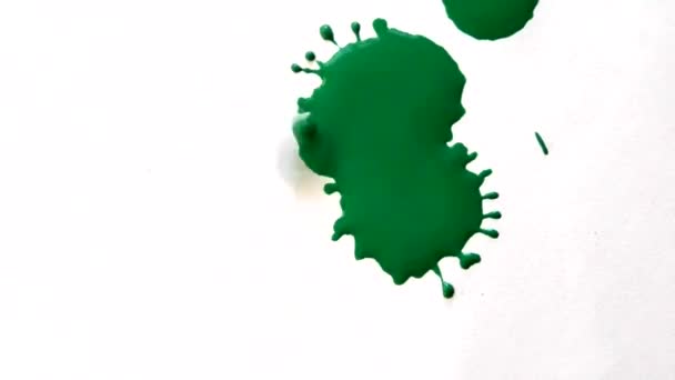 在白色的背景上滴下绿色的水滴 滴绿色滴在背景白色上 创造性的抽象滴落在白色的表面上 白色背景上孤立的绿色落叶 — 图库视频影像