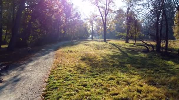 Dron Powietrzny Widok Ścieżkę Brudu Łąka Trawą Drzewa Żółtymi Liśćmi — Wideo stockowe