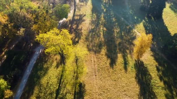 秋天阳光灿烂的日子里 绿叶飘落在草地上 黄叶和树荫斑斓 泥泞的小径 还有人们在公园里散步 秋天阳光灿烂的风景 — 图库视频影像