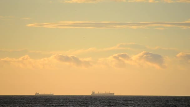 Tijdsverloop Silhouet Van Tankers Van Graandragers Skyline Zee Snel Bewegende — Stockvideo