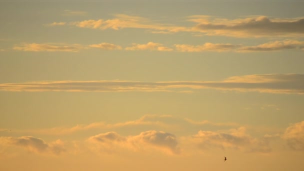 Beau Ciel Aube Coucher Soleil Avec Des Nuages Couleurs Jaune — Video