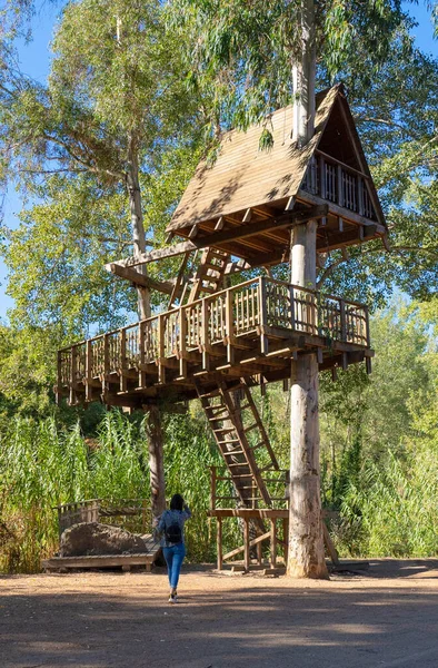 Ağaçtaki ev, doğayla iç içe, Allai - oristano