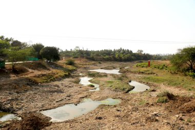 Yaz boyunca nehir manzarası kurur