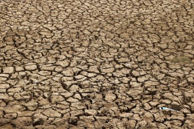 Kuru kara aşırı kuru ve sıcak havadan kaynaklanıyor.