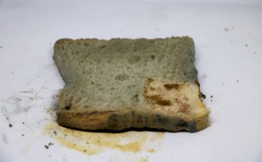 Küflü ekmek. Mantarlı tost. İzole edilmiş arka planda bozulmuş yemek.