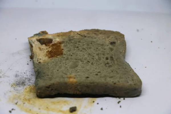 Küflü Ekmek Mantarlı Tost Zole Edilmiş Arka Planda Bozulmuş Yemek — Stok fotoğraf