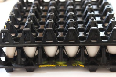 Beyaz arka planda izole edilmiş tepside taze beyaz yumurtalar.