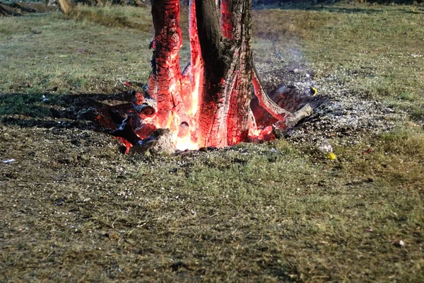 Açık havada şenlik ateşi, odun ve ateşle yanan kömür.