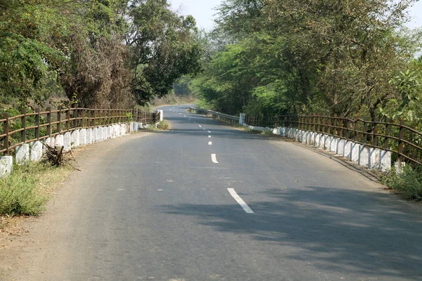 Ormanda Asfalt Yol Bisiklet Yolu Boyunca — Stok fotoğraf