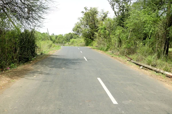 Estrada Asfalto Através Floresta Com Linha Bicicleta Longo — Fotografia de Stock