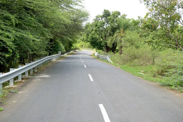 Ormanda Asfalt Yol Bisiklet Yolu Boyunca — Stok fotoğraf