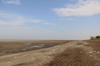 Güzel sakin bir kumsal manzarası.