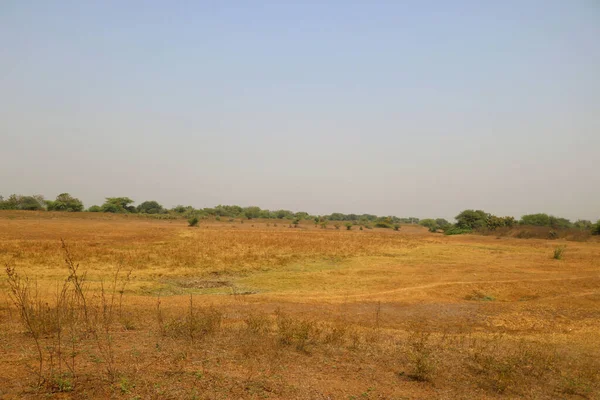 インドの夏の間の乾燥した農地の景観 — ストック写真