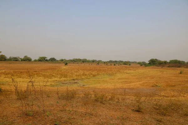 インドの夏の間の乾燥した農地の景観 — ストック写真