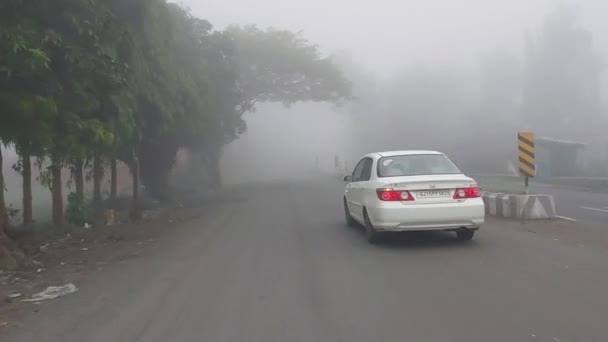 Rijden Door Mistige Weg Ochtend — Stockvideo