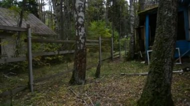 Ormanda terk edilmiş ahşap evlerin arasında yürümek, kıyamet konsepti.