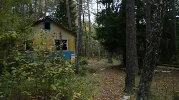 Περπατήστε στο δάσος ανάμεσα σε εγκαταλελειμμένα ξύλινα σπίτια, η έννοια της αποκάλυψης — Αρχείο Βίντεο